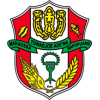 Logo Desa Alesilurungnge
